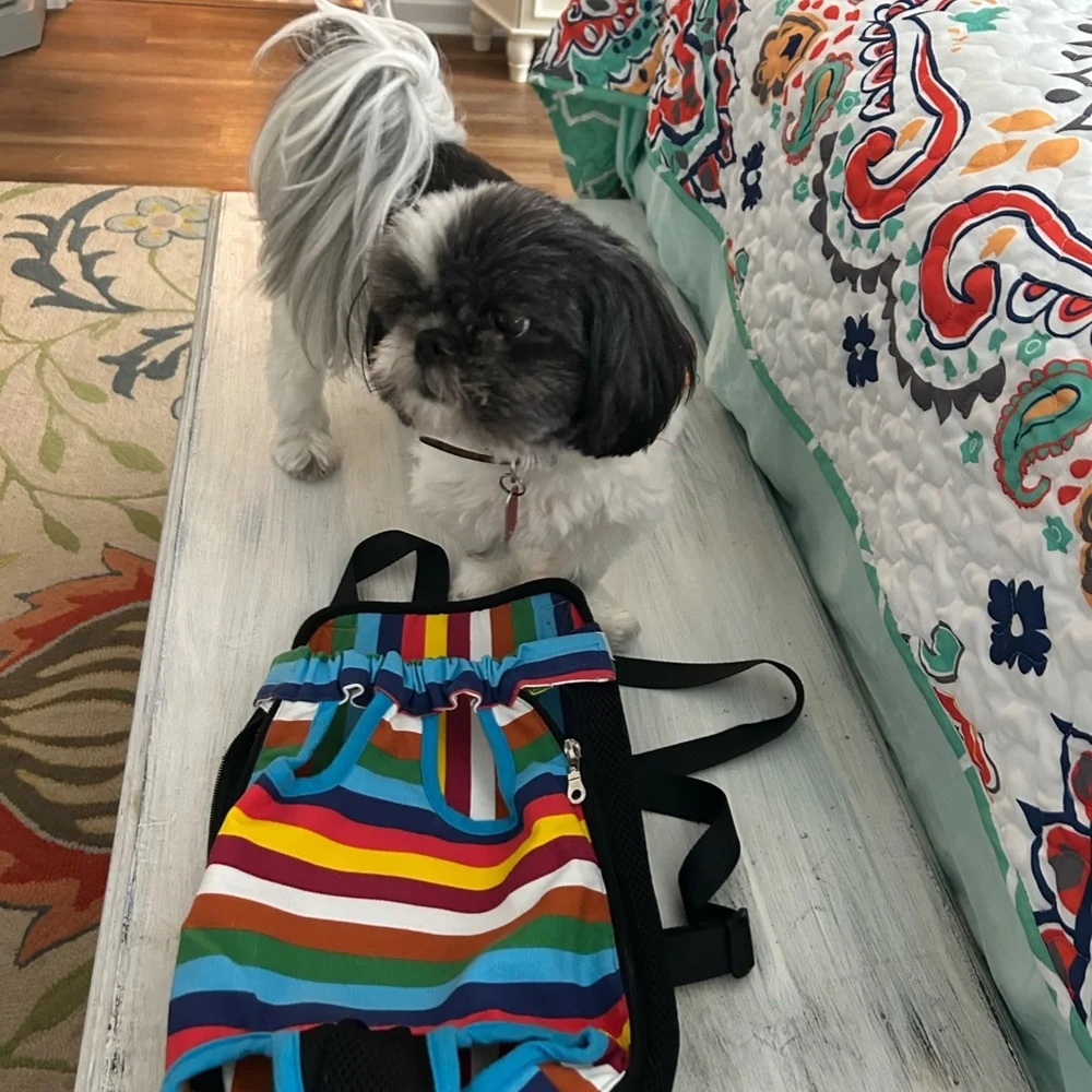 Size Small ( up to 10 lbs) Doggie backpack. NEVER USED. brand new